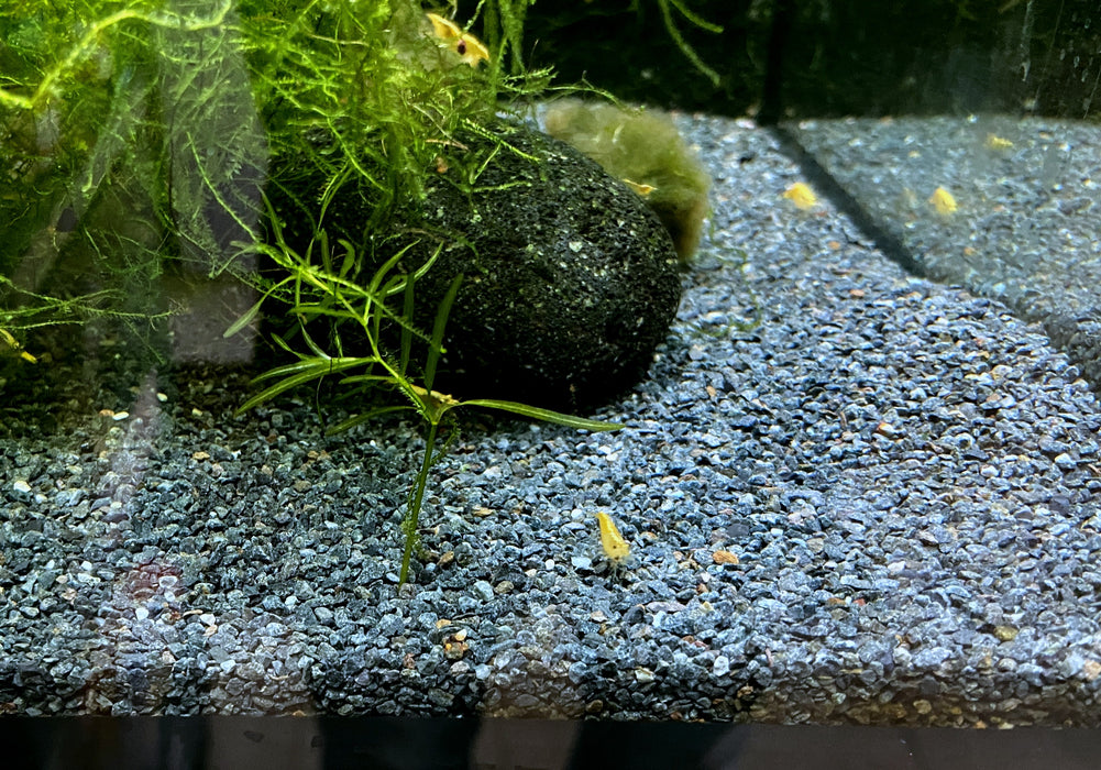 Naturkies Riversand black (0-1,8 mm)