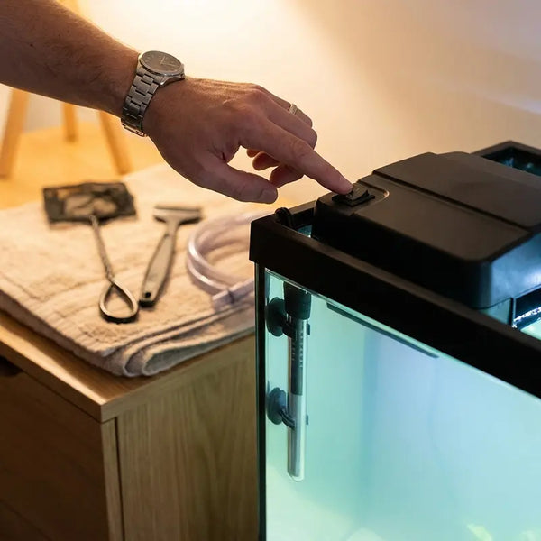 Hand schaltet den Aquarienfilter vor der Reinigung aus 