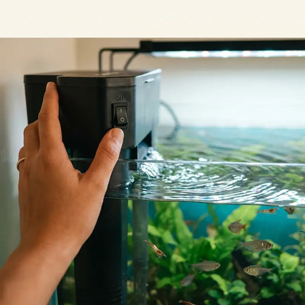 Hand schaltet den Aquarienfilter nach der Reinigung wieder ein