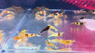 Caridina-Mix - Caridina sp.