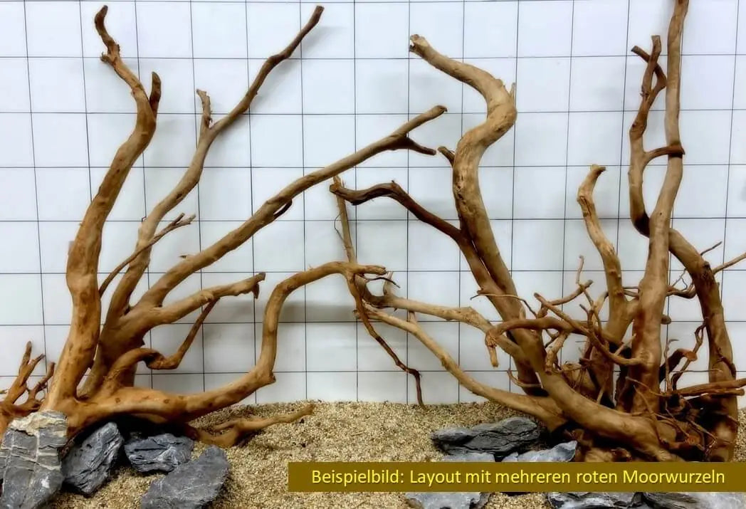 Hardscape-Aufbau mit mehreren roten Moorwurzeln und Schieferplatten vor Rastermaß-Hintergrund