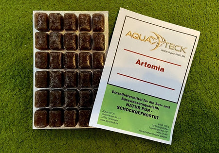100g Artemia - Frostfutter image