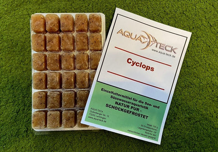 100g Cyclops - Frostfutter image