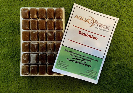 100g Daphnien - Frostfutter image