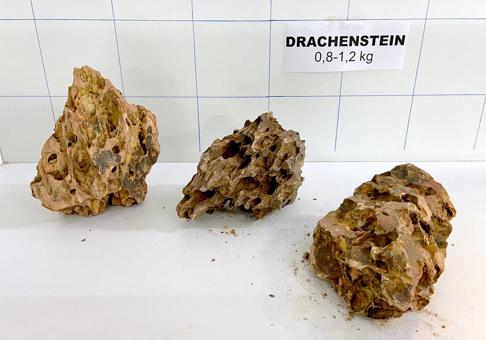 Drachenstein (S) - 0,8-1,2 kg