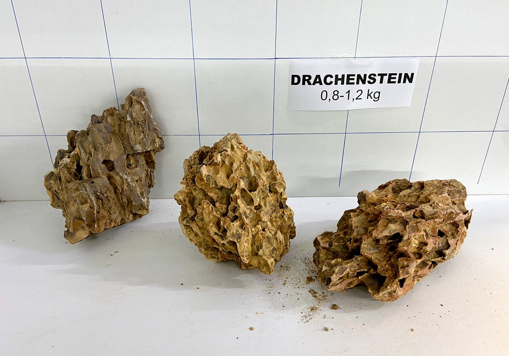 Drachenstein (S) - 0,8-1,2 kg