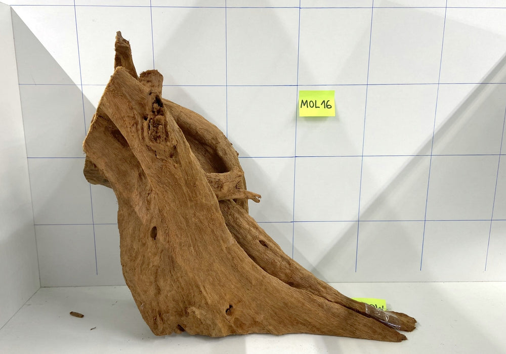 MOL16 Mangrovenwurzel Large (40-60 cm)