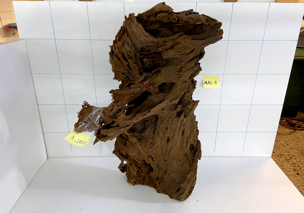 MAL001 Mangrovenwurzel Large (30-60 cm) sandgestrahlt