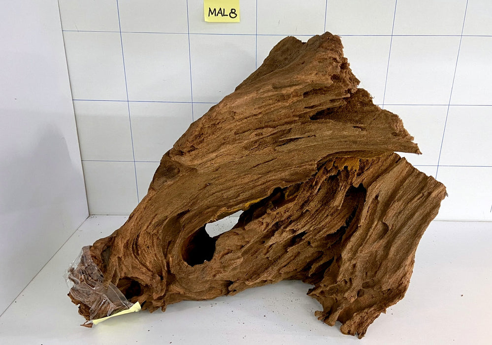 MAL008 Mangrovenwurzel Large (30-60 cm) sandgestrahlt