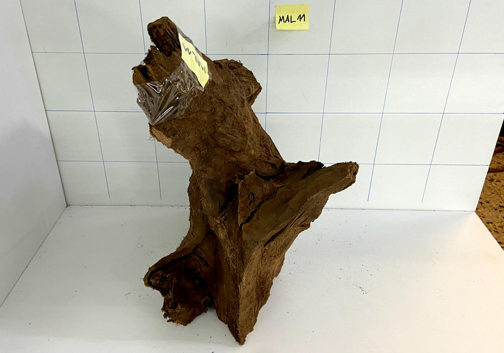MAL011 Mangrovenwurzel Large (30-60 cm) sandgestrahlt
