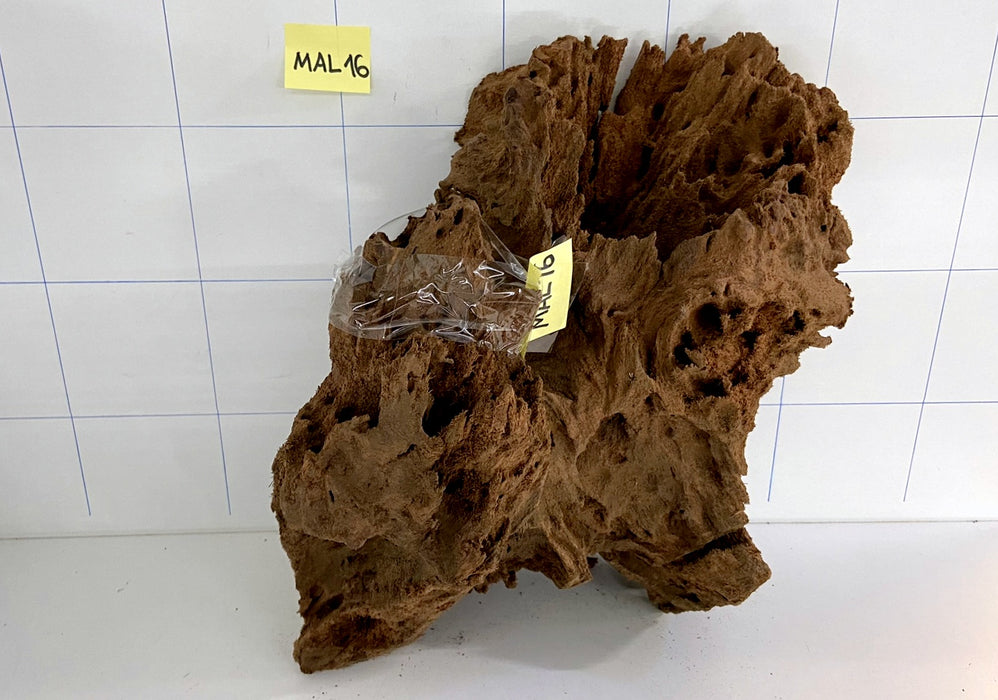 MAL016 Mangrovenwurzel Large (30-60 cm) sandgestrahlt