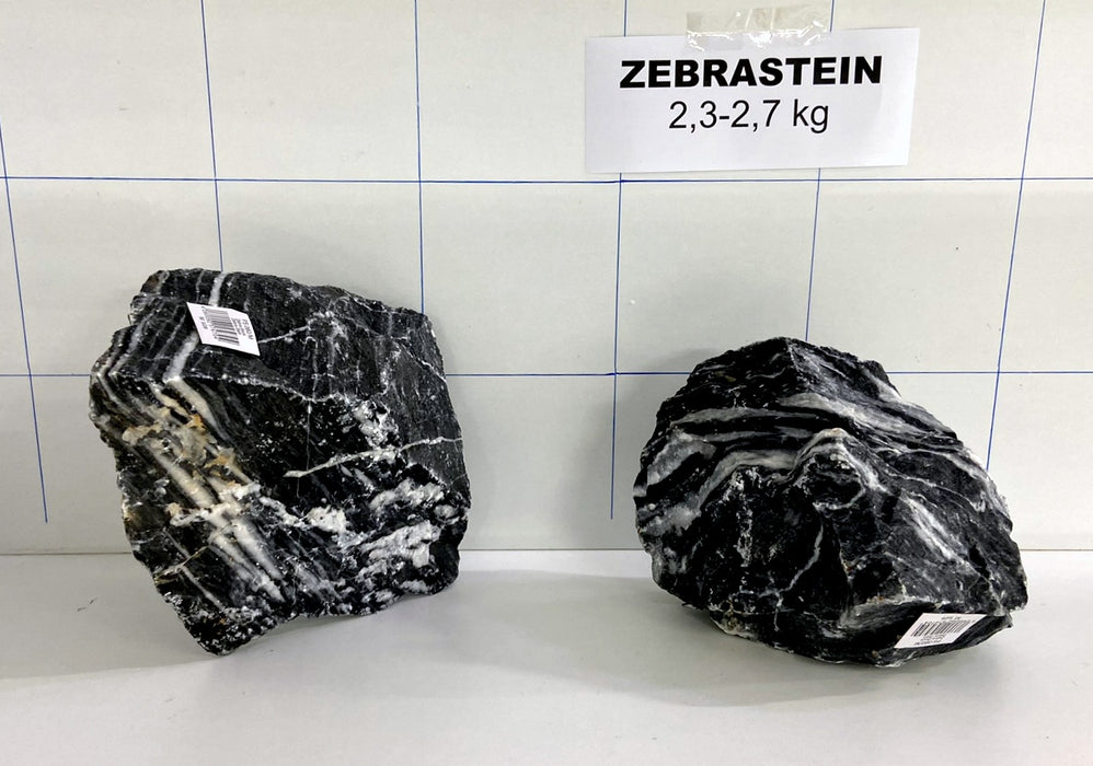 Zebrastein (M) - 2,3-2,7 kg