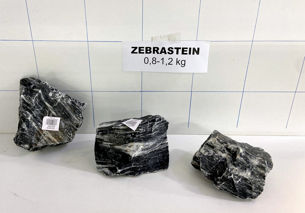 Zebrastein (S) - 0,8-1,2 kg