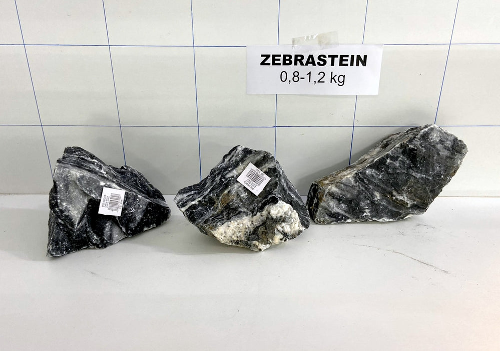 Zebrastein (S) - 0,8-1,2 kg